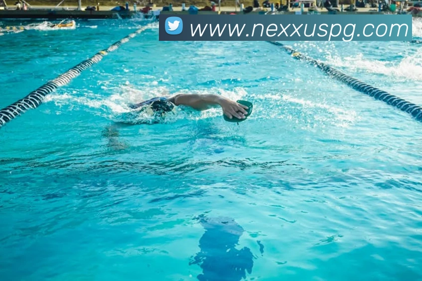 pg官网服务体系